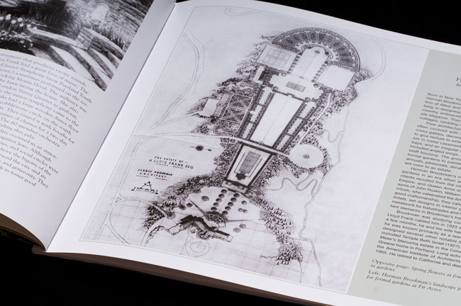 Fortune and Friendship